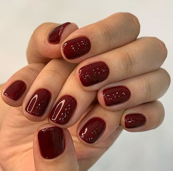 15 Short Winter Nail Ideas for 2023-2024