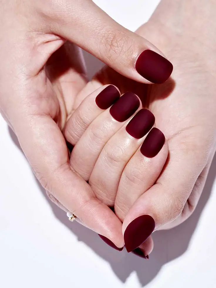 15 Chic Matte Winter Nail Ideas for 2023-2024