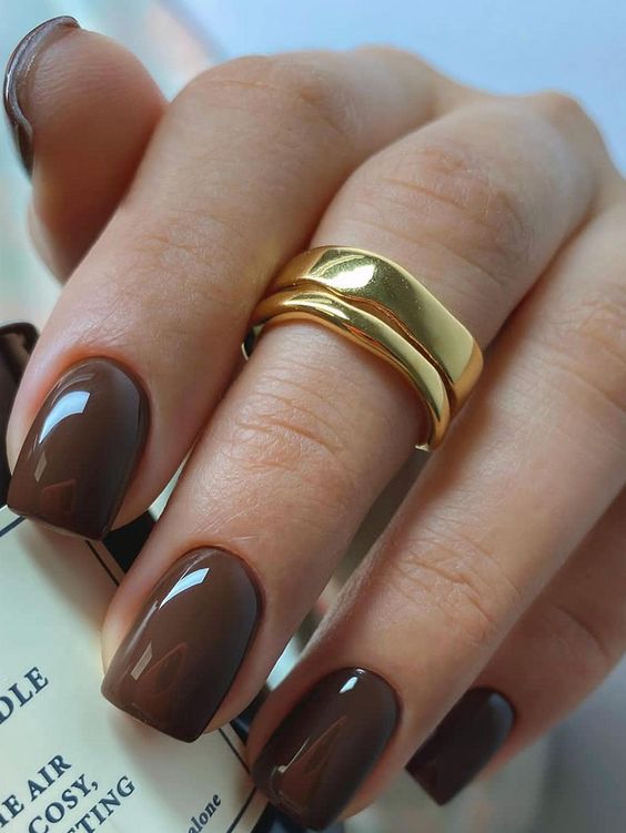 17 Cozy Winter Nail Ideas in Brown Shades for 2023-2024