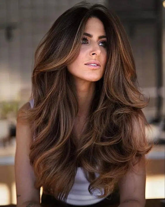 Hair Color Ideas for Brunettes 2024: A Guide to Revitalizing Your Locks