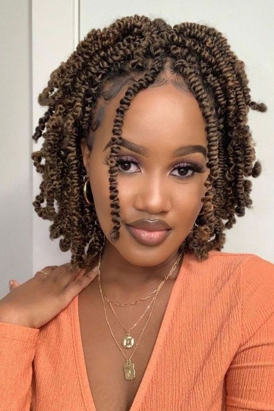 17 Stunning Twist Braids Hairstyles for Women in 2024 Creative