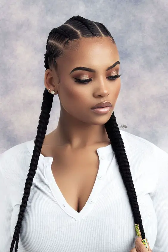 Two Braids Hairstyle 2024: 15 Ideas
