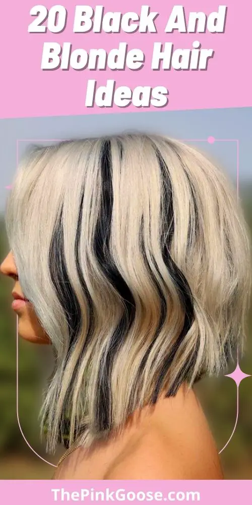 20 Amazing Black And Blonde Hair For You