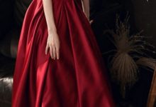 Fancy Red Dress