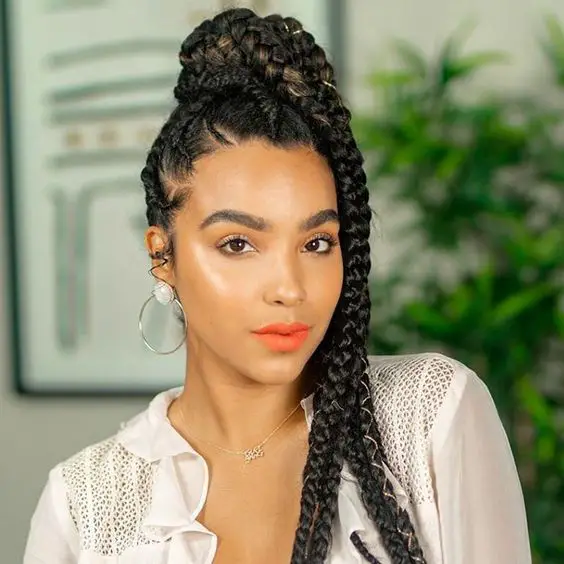 15 Gorgeous Afro Ponytail Ideas for a Stunning Look