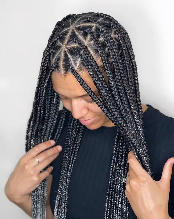 19 Stunning African Braids Hairstyle Ideas for Every Look