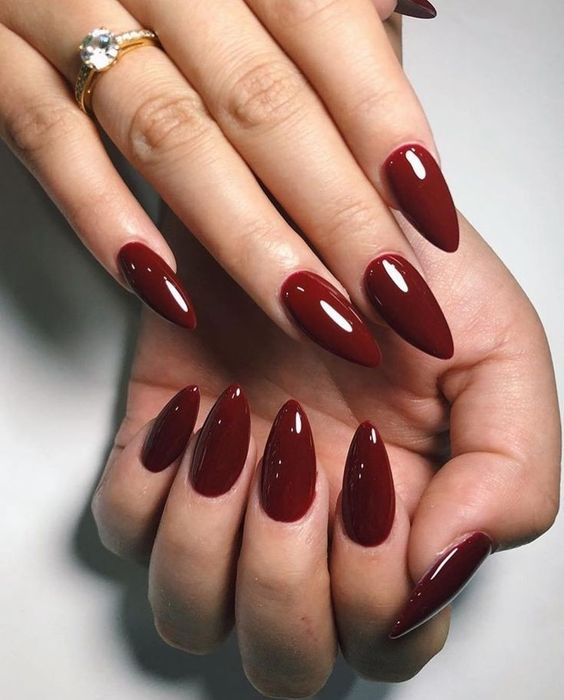 17 Chic Almond Nail Colors for Winter 2023-2024