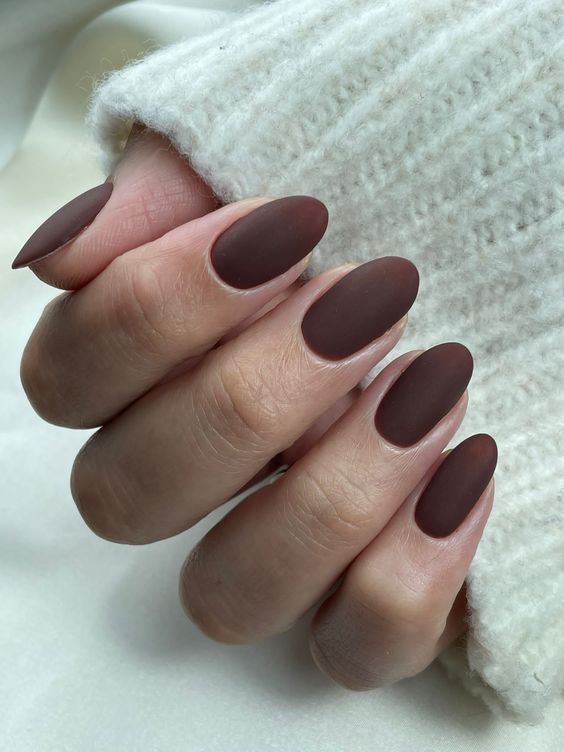17 Cozy Winter Nail Ideas in Brown Shades for 2023-2024