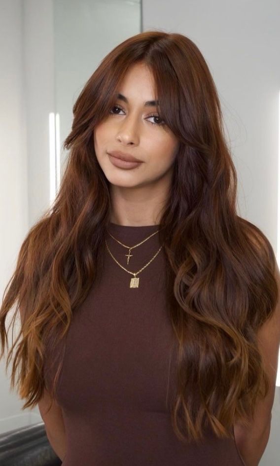 Fall Hair Color for Brunettes 2024: 27 Stunning Ideas