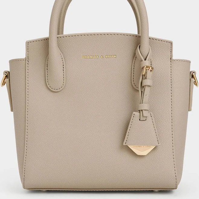 bag Charles & Keith Harper Structured Top Handle Bag charleskeith.com $119
