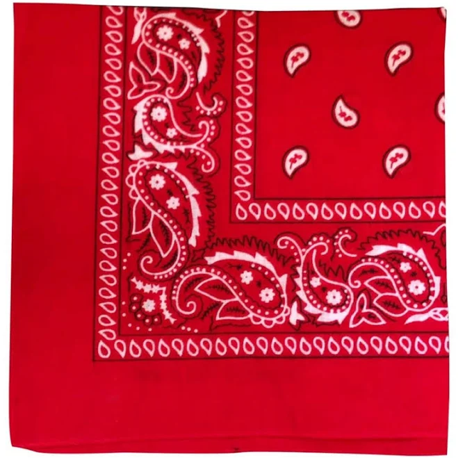 accessory Paisley Cotton Bandana BurlapFabric.com $2.99