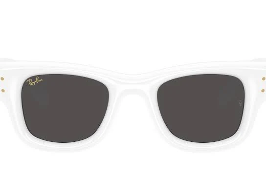 accessory Ray-Ban Sunglasses Wayfarer Puffer Lenscrafters $202