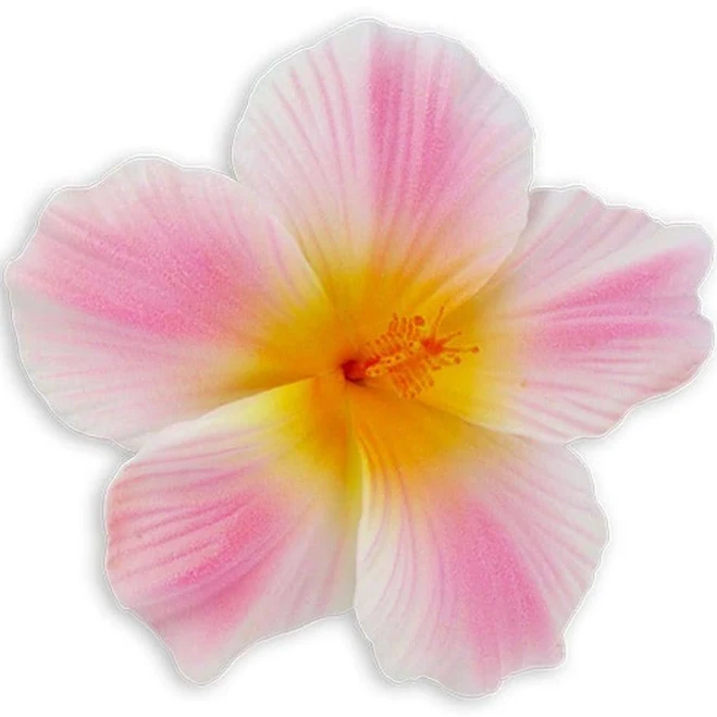 Hibiscus Flower Hair Clip