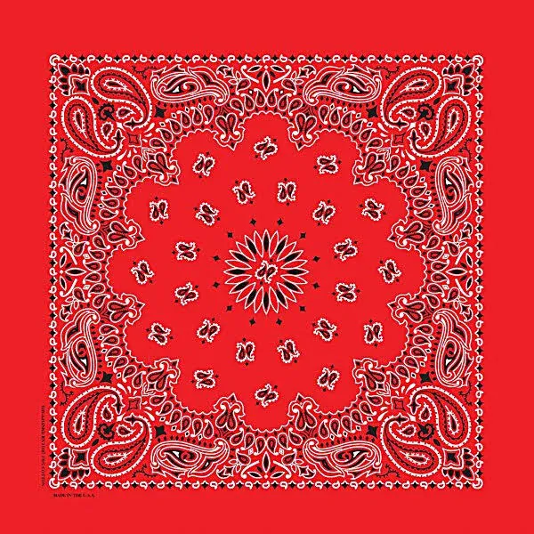 Carolina Creative Products Men's Cotton Paisley Bandana Handkerchief