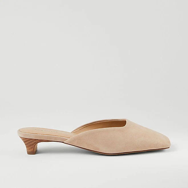 Ann Taylor Women's Suede Kitten Heel Mule Pump