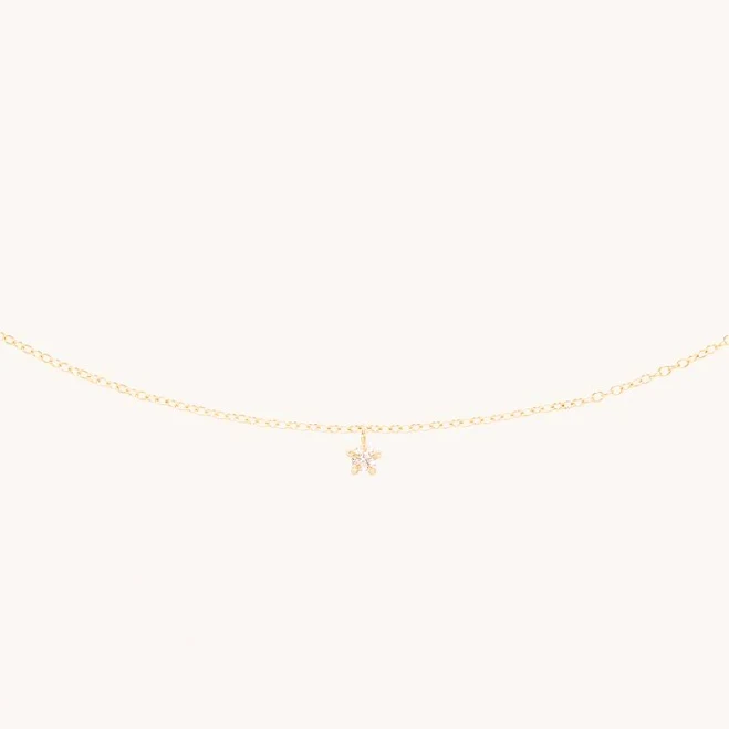 accessory Catbird 14K Gold Little Star Birthstone Charm Necklace Catbird $198