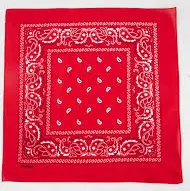 Red Paisley Bandana - RED