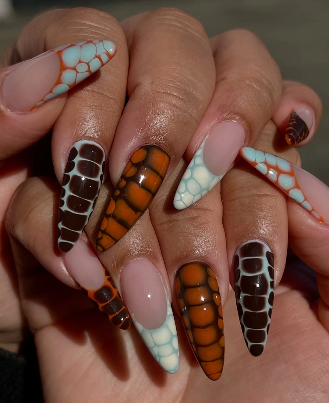 chic september nails color 2026 Glossy Tortoiseshell With Soft Blue Contrast
