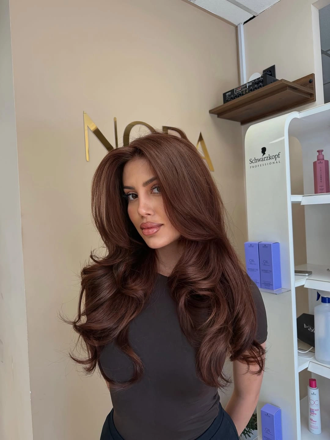 rich chestnut brown hair color Classic Cinnamon Chestnut Blowout