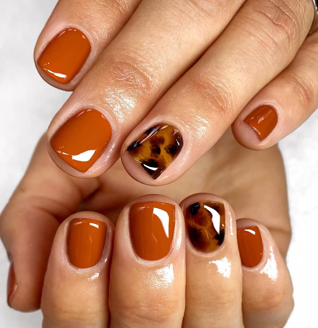 trendy fall nail designs for all skin tones 2026 Burnt Caramel Short Nails with Glossy Tortoiseshell Accent