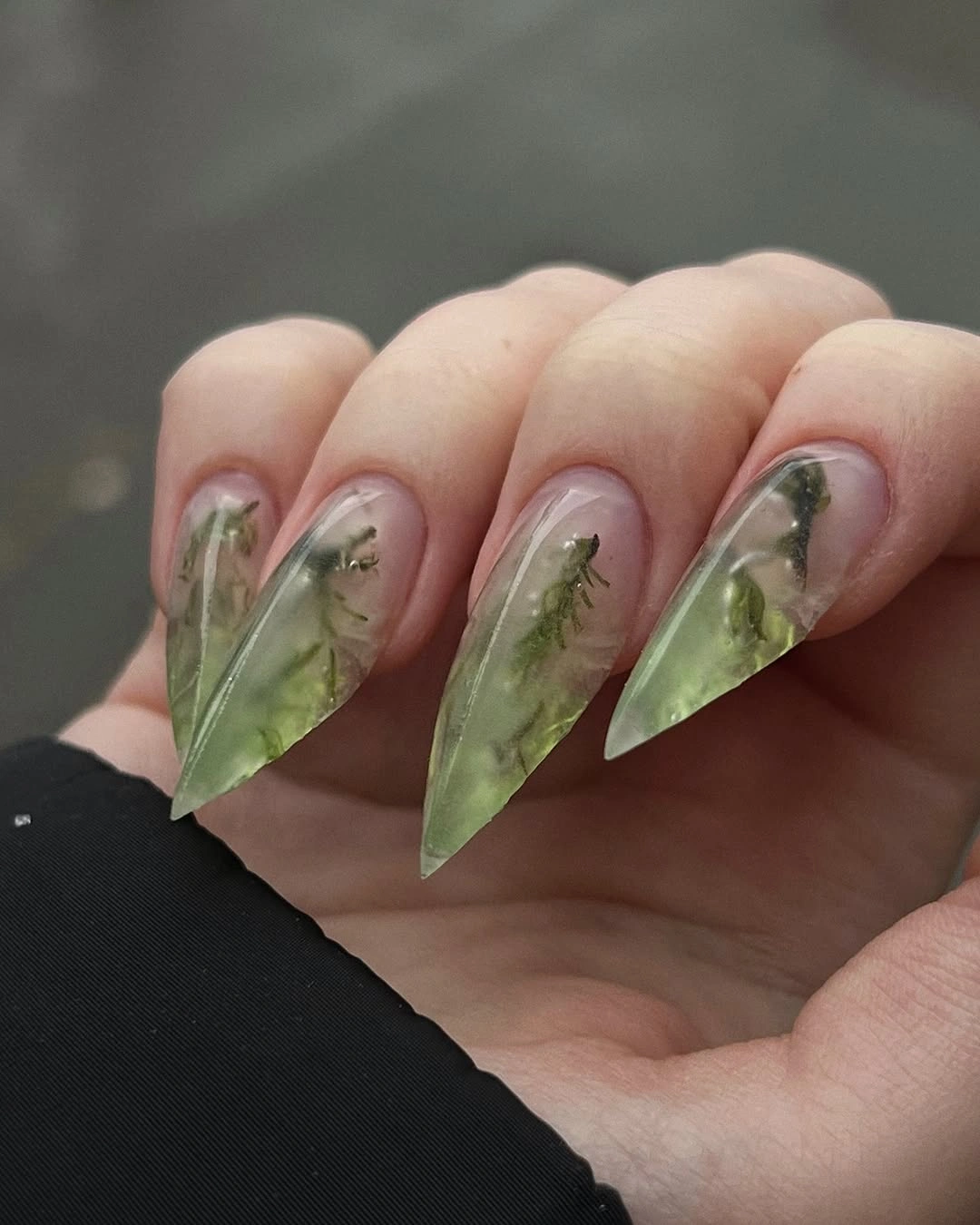 cute early fall nails 2026 Transparent Green Botanical Acrylic Nails