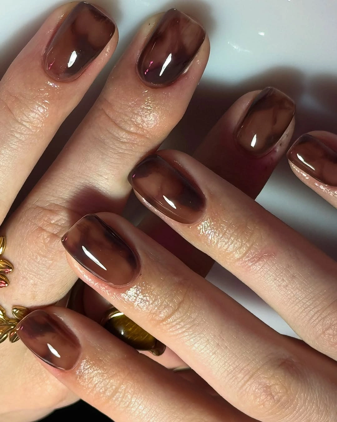 rich brown fall nails 2026 Soft Smoky Brown Jelly Nails