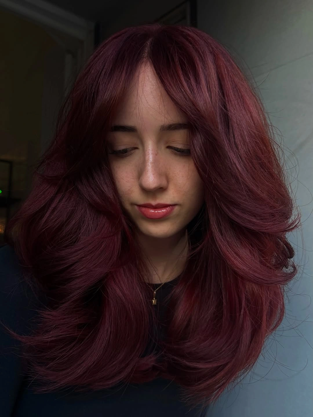 rich october hair colour ideas 2026 Deep Plum Brunette With Voluminous Layers