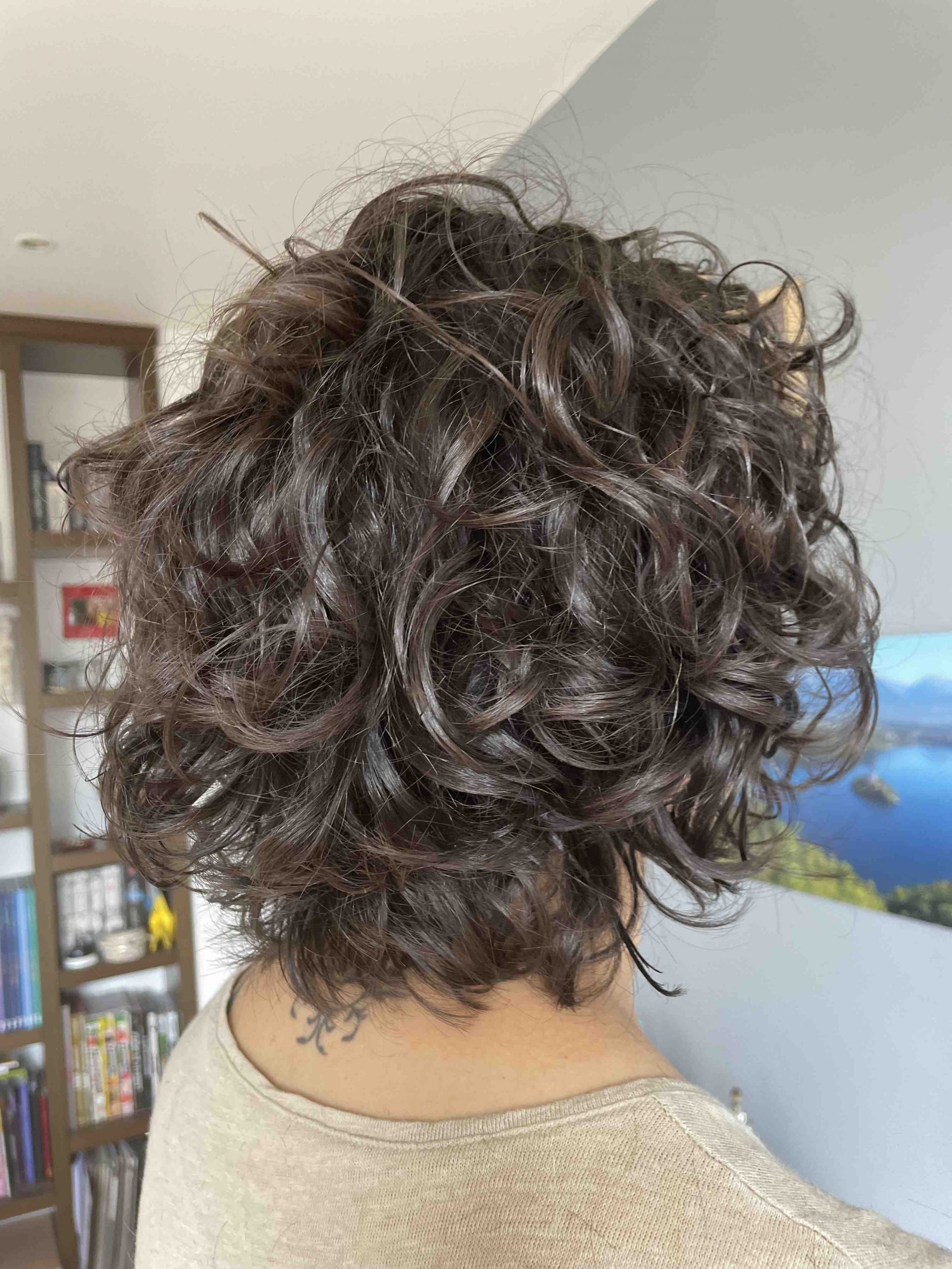 Dark Brown With Subtle Auburn Highlights Visual Idea — Winter Haircuts for Curly Hair