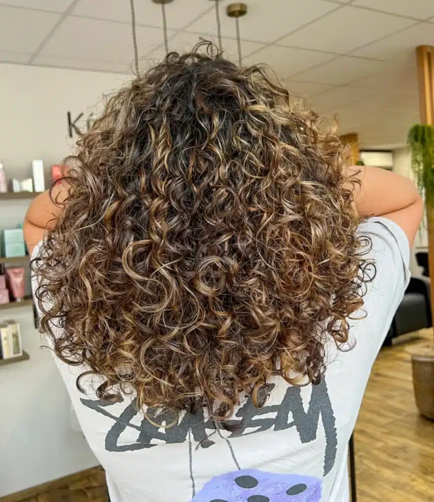 Back View Visual Idea — Winter Haircuts for Curly Hair