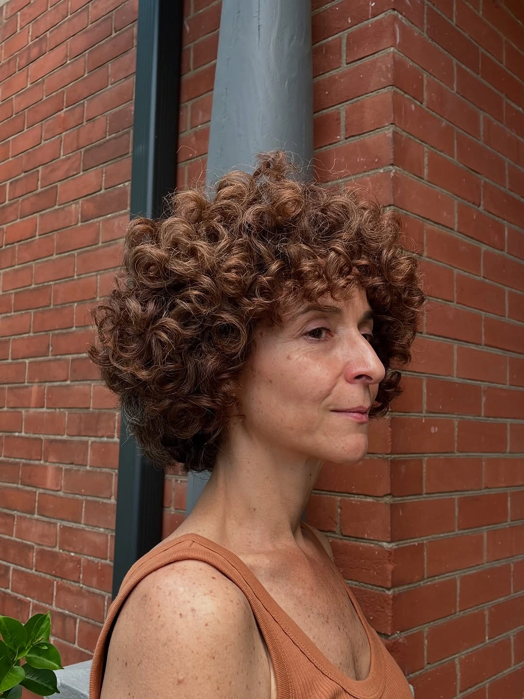 chic curly bob hair Rounded Brown Curls With a Soft Sculpted Shape