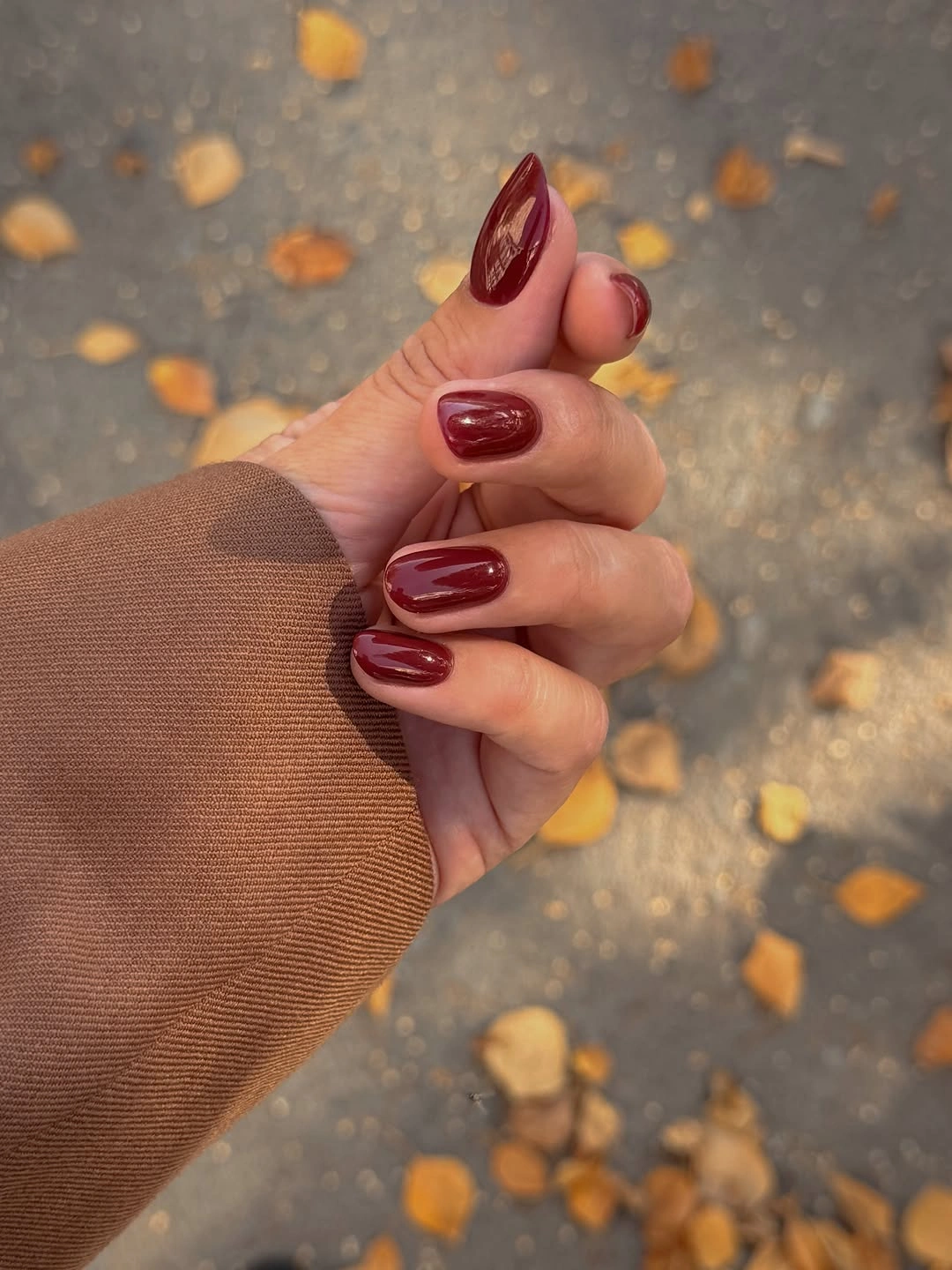 Chic November Nails Ideas 2026 Glossy Burgundy Short Nails