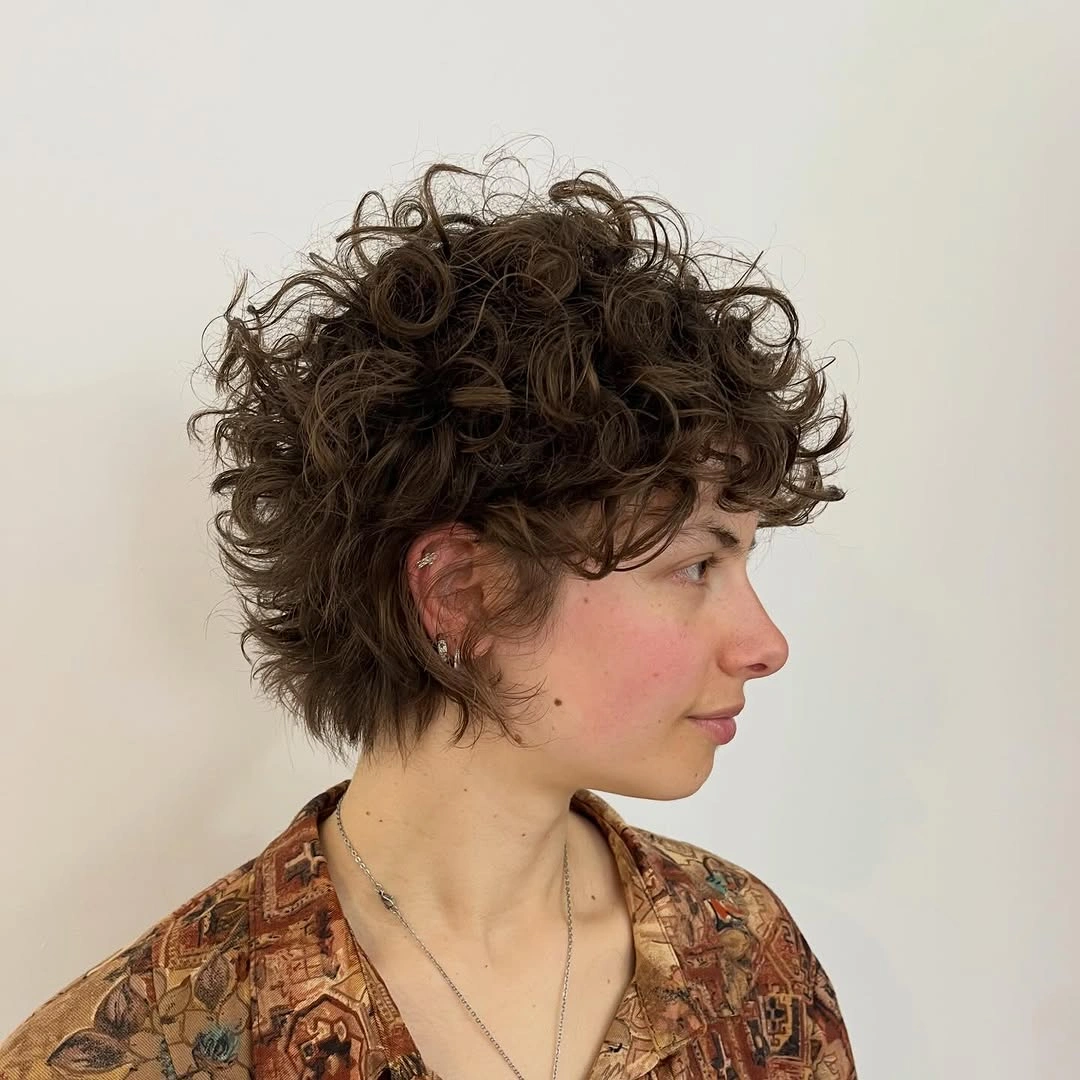 curly pixies haircut Messy Brown Curly Pixie With Full Texture