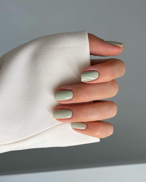 Sage Green Opaque Visual Idea Sage Green Opaque Visual Idea β Winter Nail Colors for Short Nails