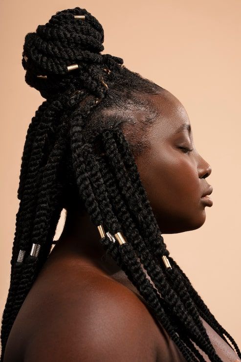 Visual Idea Visual Idea β Winter Braids for Black Women