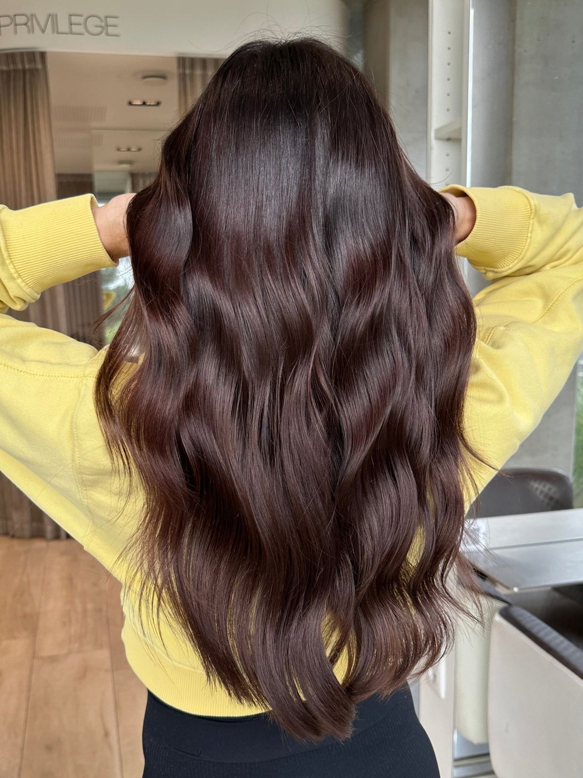 Mid-Back Visual Idea — Dark Winter Hair Colors