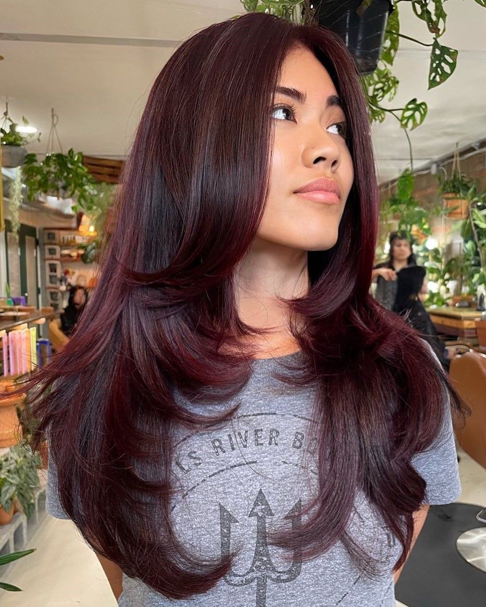Collarbone Visual Idea — Dark Winter Hair Colors