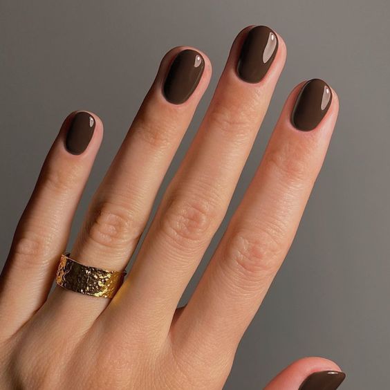 Matte Dark Brown Short Oval Nails Matte Dark Brown Short Oval Nails β Winter Nails