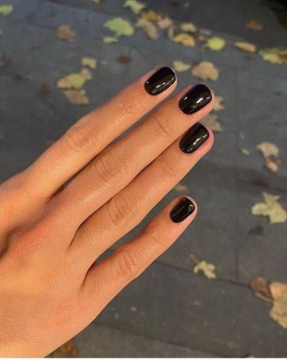 None Visual Idea None Visual Idea โ Fall to Winter Nails