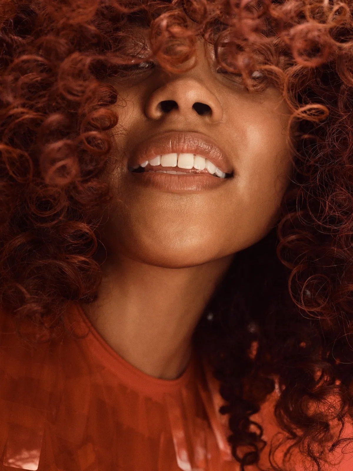 Layers Visual Idea — Cinnamon Brown Hair