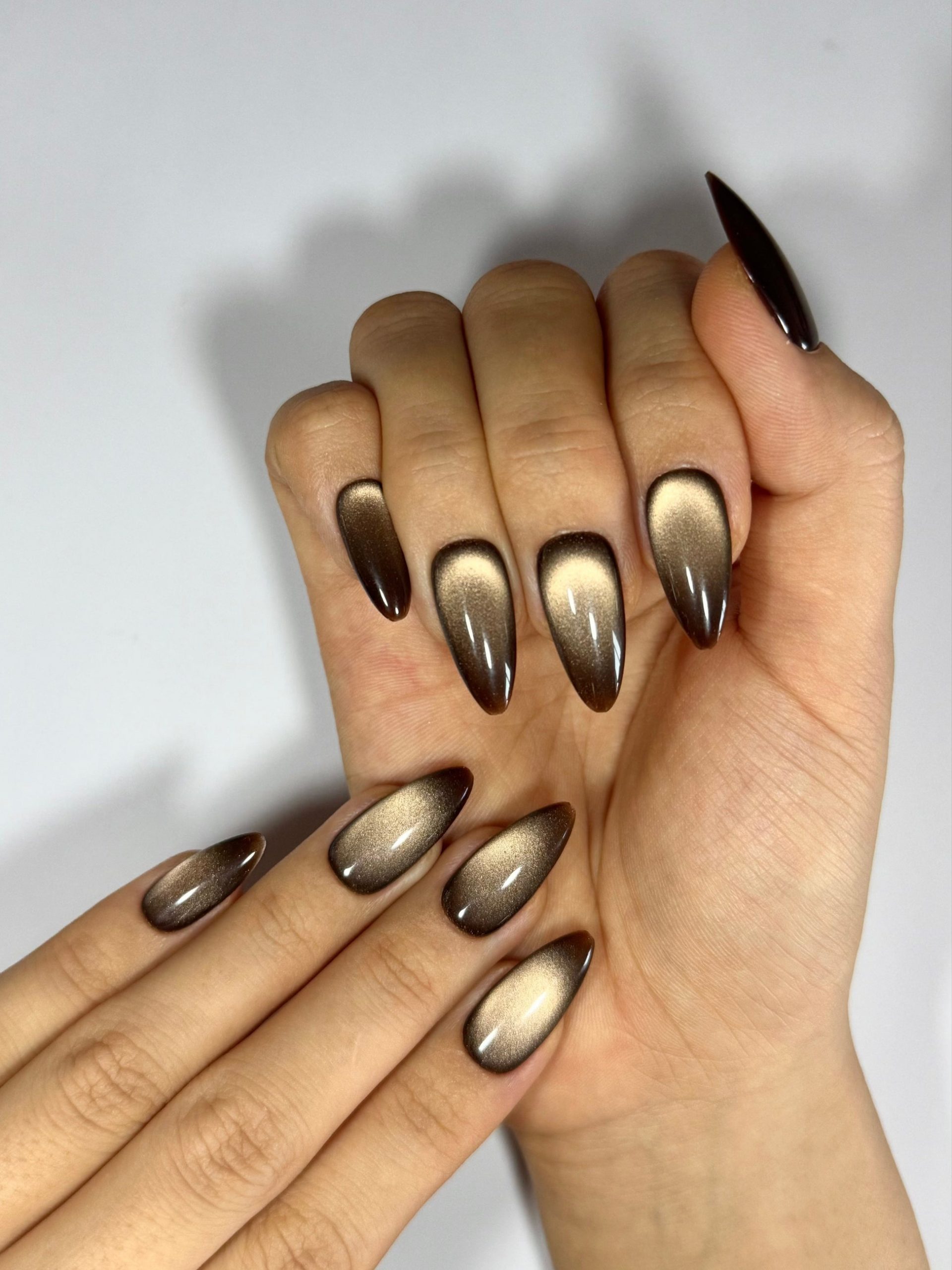 Brown to Beige Gradient Stiletto Cat Eye Brown to Beige Gradient Stiletto Cat Eye โ Winter Cat Eye Nails