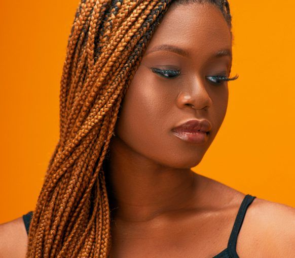 Blonde Highlights Visual Idea Blonde Highlights Visual Idea β Winter Braids for Black Women