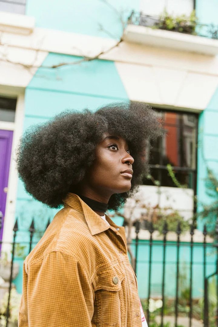 Visual Idea — A Black Woman With A Large — Winter Hairstyles for Black Women