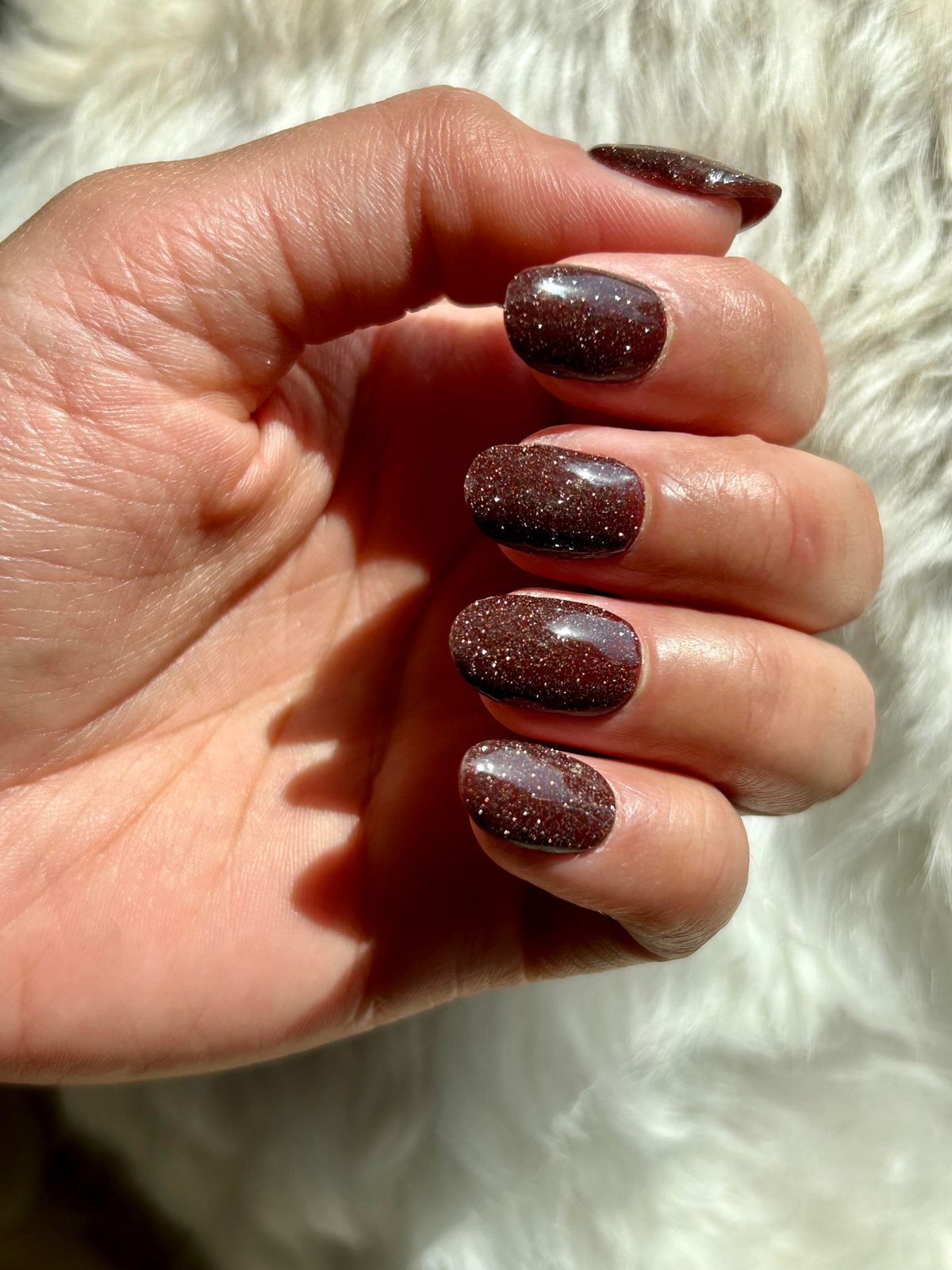 Glossy With Dense Glitter Visual Idea Glossy With Dense Glitter Visual Idea β Chocolate Brown Nails