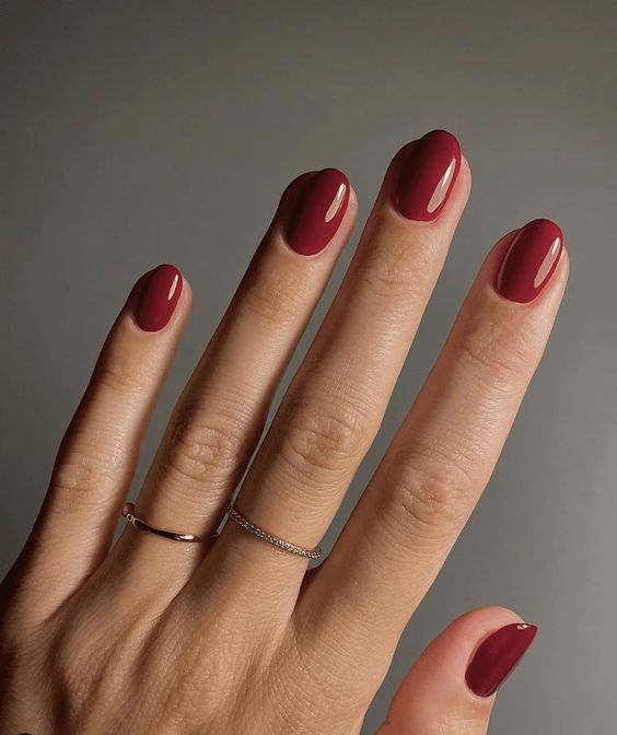 Solid Color Visual Idea Solid Color Visual Idea β Dark Winter Nails