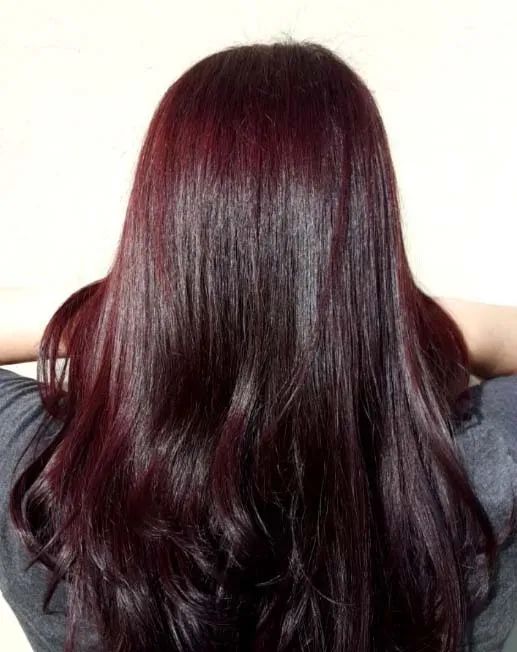 Deep Wine Red Visual Idea — Winter Hair Colors