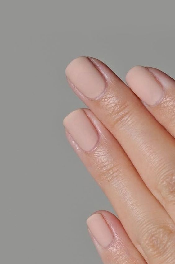 Pale Nude Pink Matte Nails with Gold Flakes Pale Nude Pink Matte Nails with Gold Flakes β Winter Matte Nails