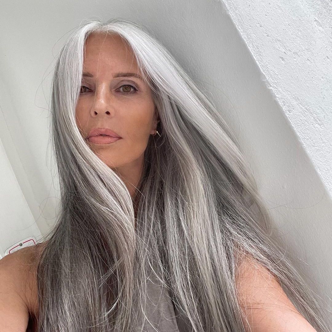 Mid-Back Visual Idea — Winter Hair Colors for Gray Hair