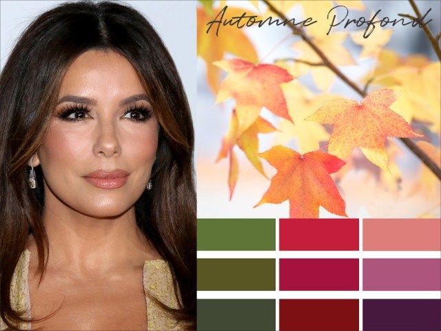 Thick Dark Brown With Auburn Undertones Thick Dark Brown With Auburn Undertones β Winter Hair Colors for Plus Size Women