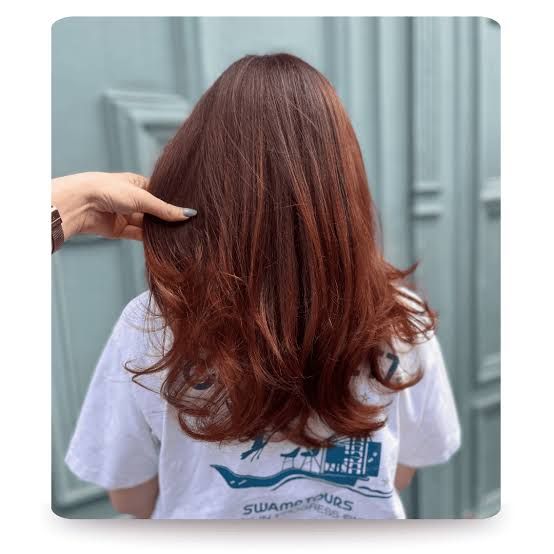 Collarbone Visual Idea — Mahogany Hair Color
