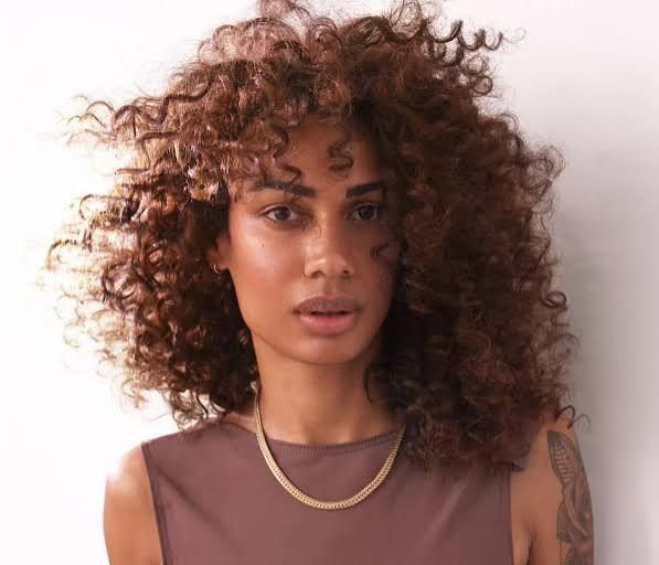 Dark Brown Subtle Highlights Visual Idea — Dark Winter Hair Colors